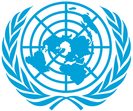 United Nations Partner
