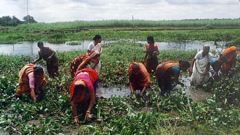 Community-Based Adaptation