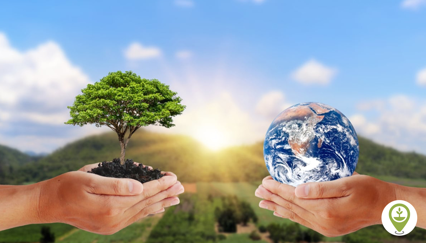 Ecosystem Conservation