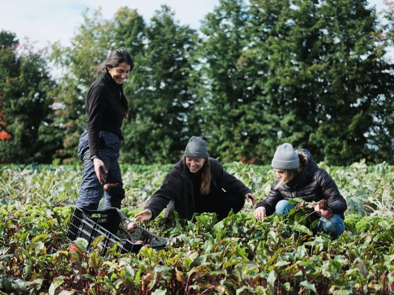 Farmer Training