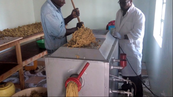 Production Process