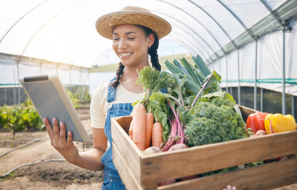 Agricultural Value Chains