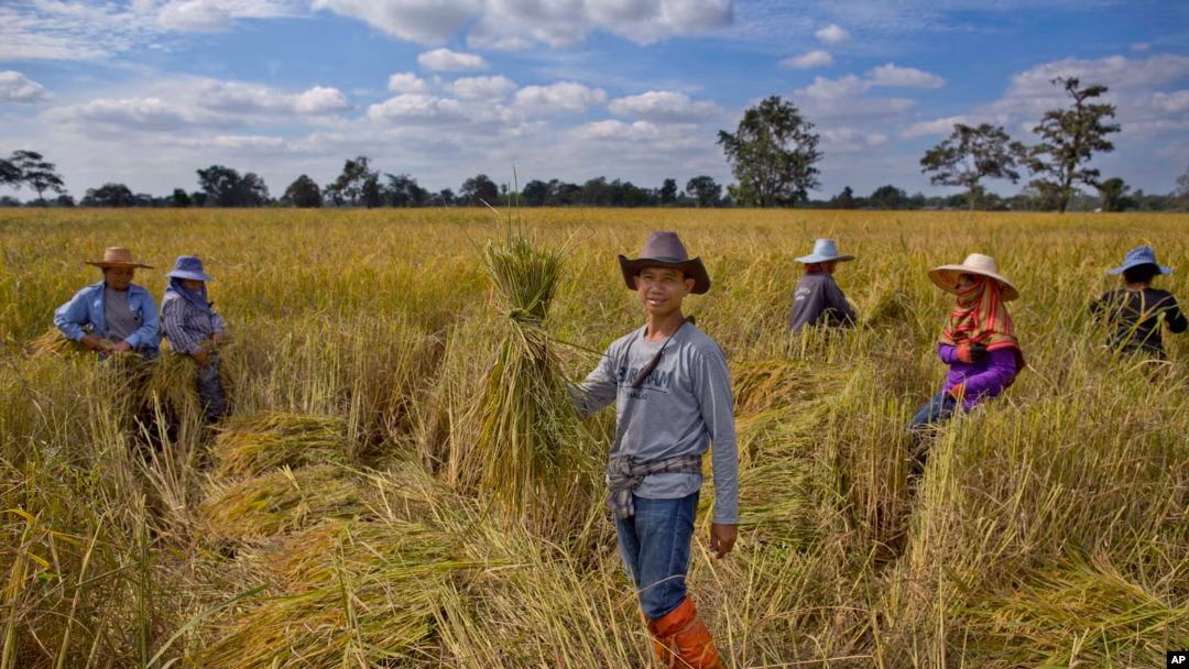 Microfinance Program in Colombia