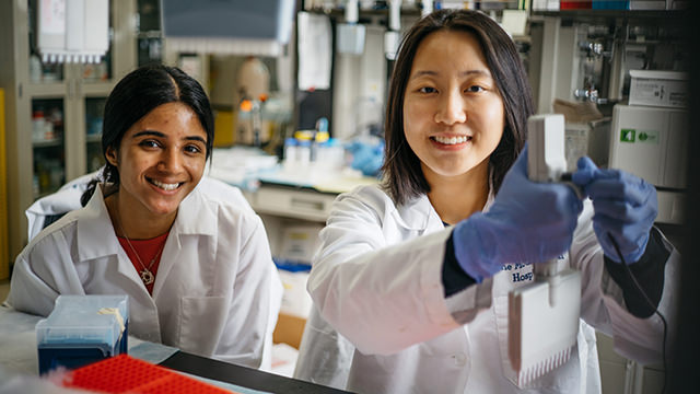 UHAFD Research Volunteer
